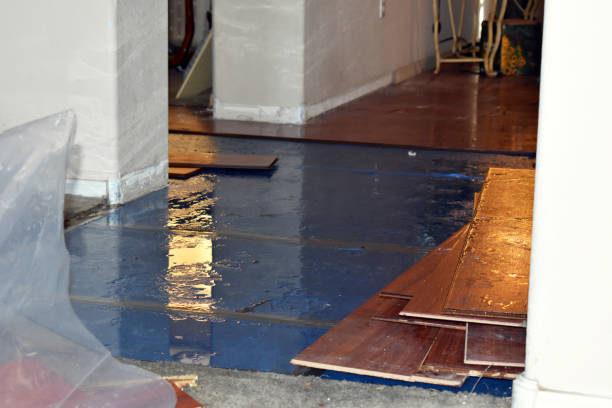 Professional Emergency Water Damage Restoration technician working in Orient, OH
